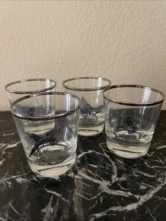 Silver-Rimmed Clear Glass Tumbler with Bird Motif - Set of 4