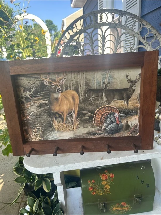 Vintage Framed Wildlife Wall Art with Pegs