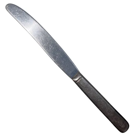 Vintage | Silver‎ Plated | Dinner Knife | Floral Handle