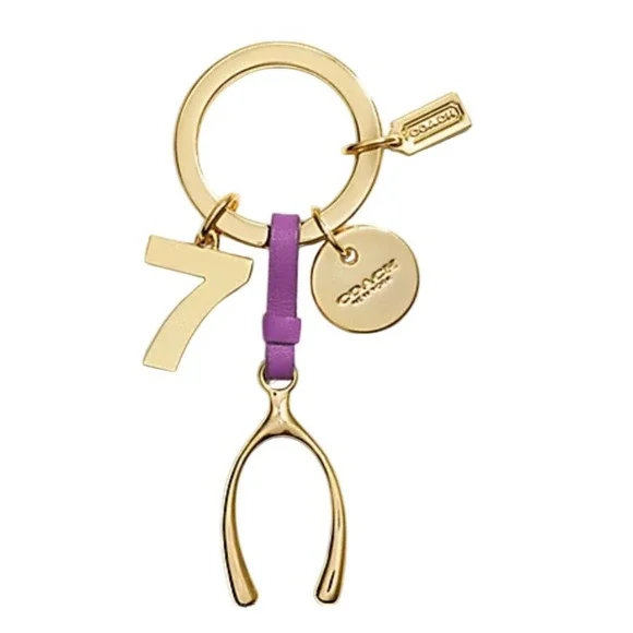 Vintage Coach Lucky Mix Key Ring Key Chain Purse Bag Charm NWOT