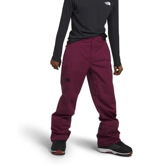 THE NORTH FACE Men's Freedom Stretch Pant, Boysenberry small/regular