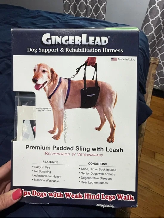 Premium Padded Dog Sling with Leash — Black