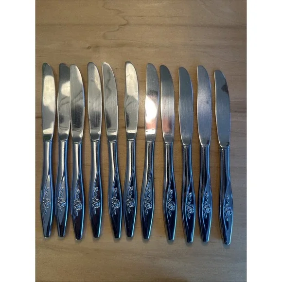Lot (11) Oneida‎ Oneidacraft LASTING ROSE Deluxe Stainless 8.5