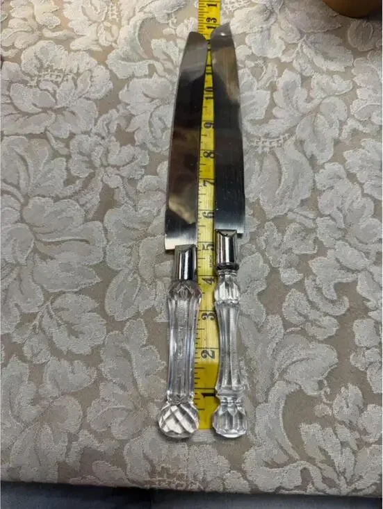 Set of 2 Stainless Steel Serving Knives with Clear Acrylic Handles