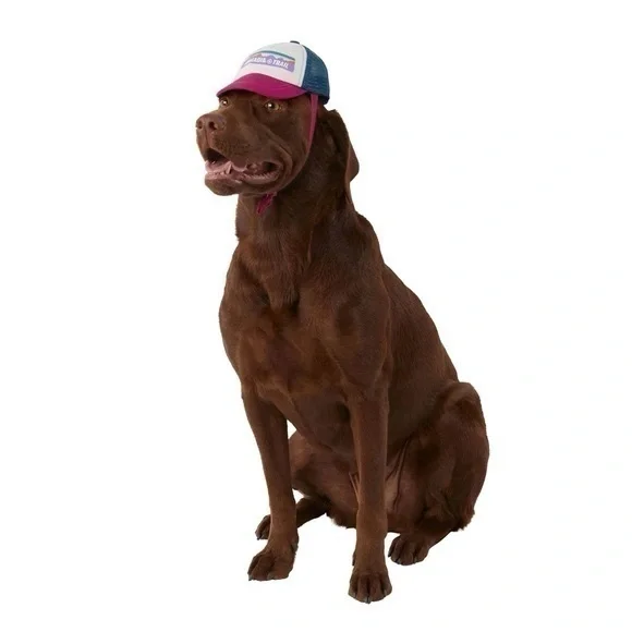 Arcadia Trail logo dog trucker hat girl pink and blue XL/XXL