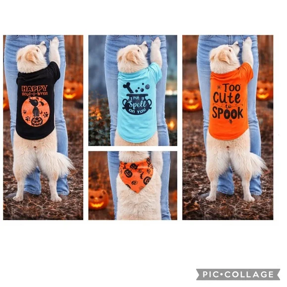 NEW DOG HALLOWEEN T-SHIRTS 4 ITEM BUNDE FREE POOPY BAG ROLL