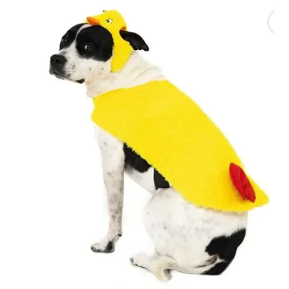 NWOT Vibrant Life Halloween Dog &‎ Cat Costume Chicken
