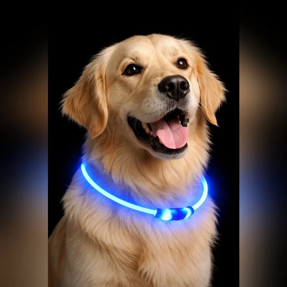 Blue LED Light-Up Dog‎ Collar | Rechargeable & Waterproof | Night Safety
