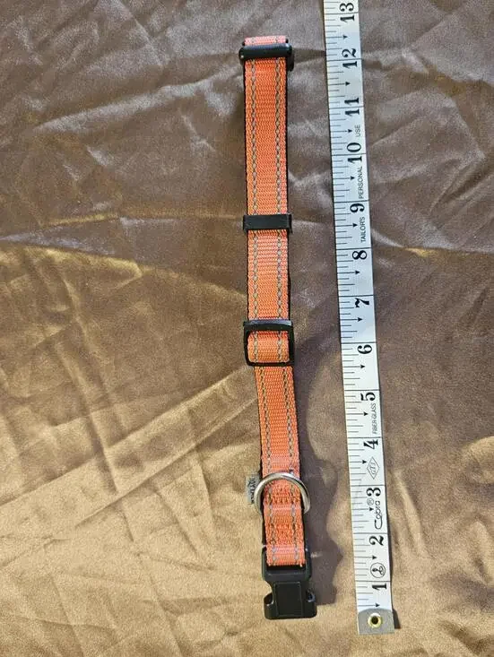 Orange Adjustable Nylon Pet Collar with Buckle and D-Ring
