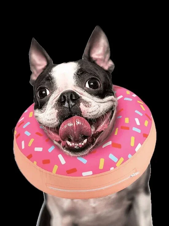 Supet Inflatable Dog Recovery 