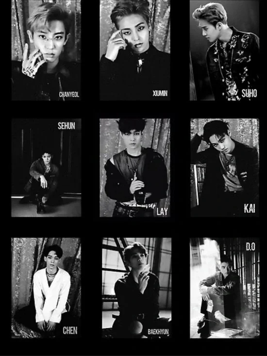 EXO Fabric Poster Tapestry And Joji Pouch Bundle