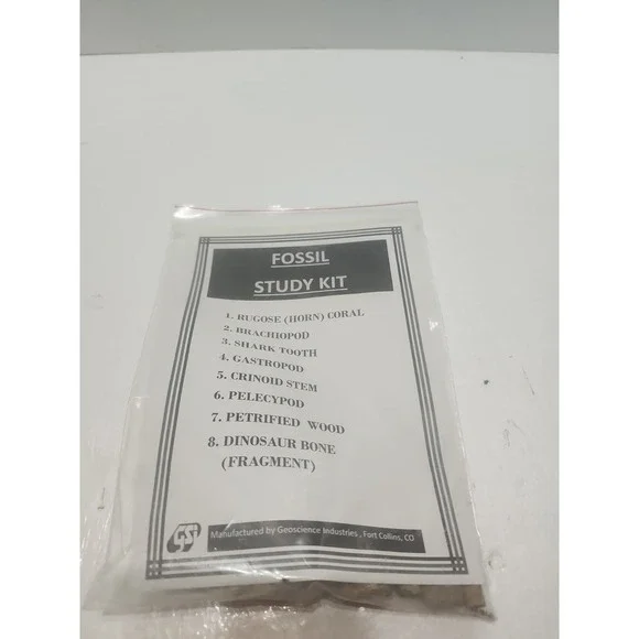Fossil Study Kit