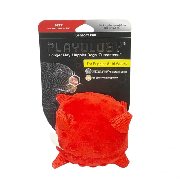 Playology Ball for Sensory Development Red All Natural Beef‎ Scent Dog Puppy Toy