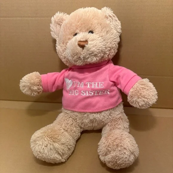 Gund I'm The Big Sister Teddy Bear Plush Stuffed Animal‎ Toy Gift Pink Shirt