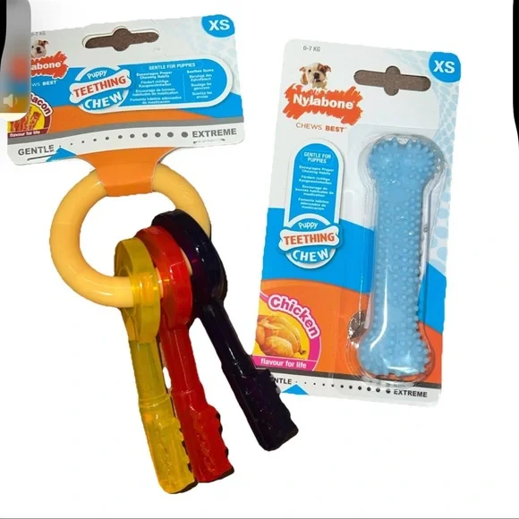 2 Different Nylabone  gentle teething chews for xs puppies toy keys and bone