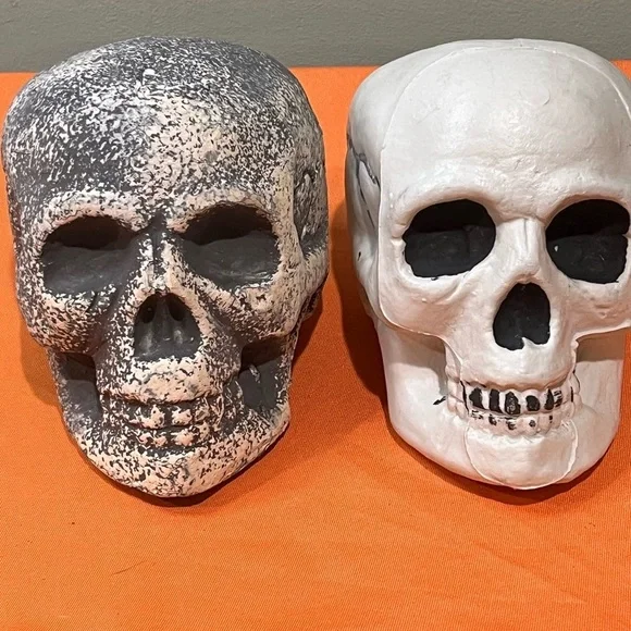 6/$25 Gray and White Skull Decor Set