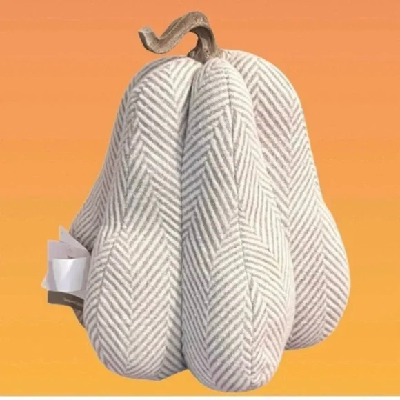 NWT- Hay Market Herringbone Fabric Neutral Pumpkin Accent Pillow
