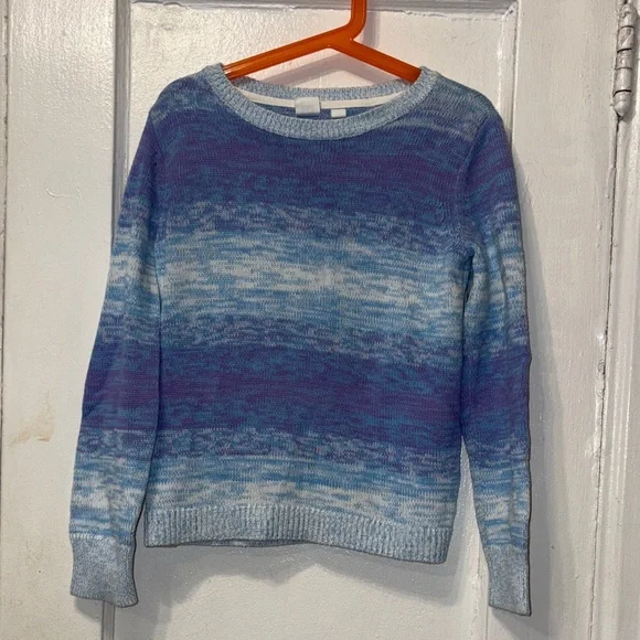 GAP Kids Blue and Purple Sweater