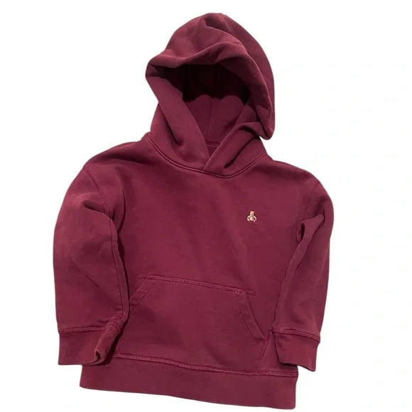 Toddler boys Baby Gap Hoodie