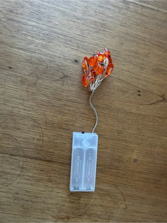 Hobby Lobby fall pumpkin Orange LED String Lights
