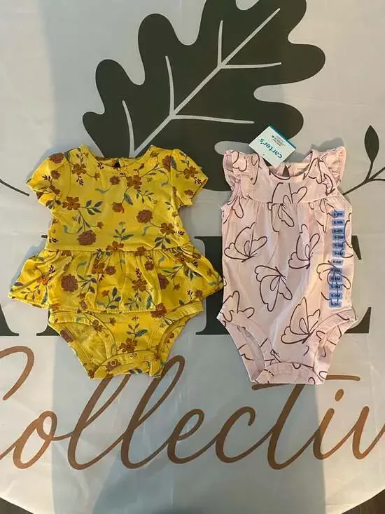 Carter's Baby Girl 9M 2-Piece Bodysuit Set (Floral Peplum and Butterfly Flutter