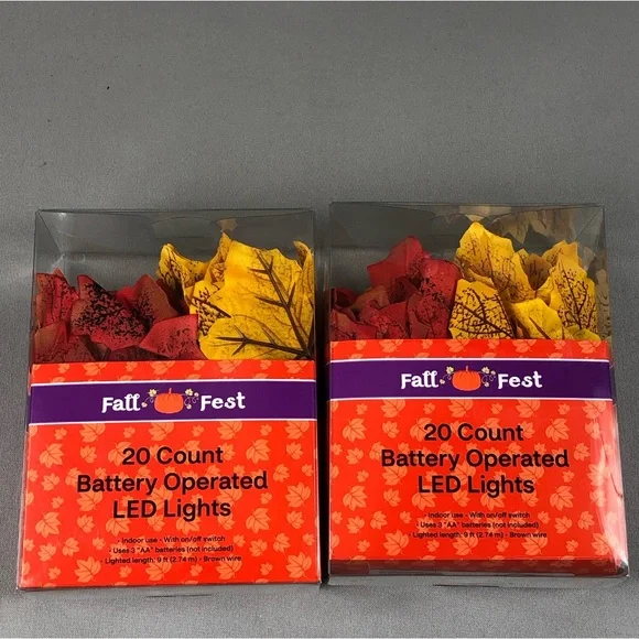 Fall Fest 20 Count Battery Operated LED Lights 2pck
