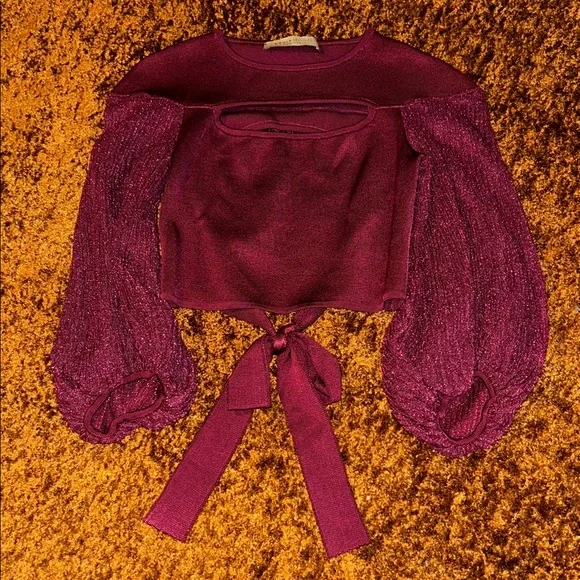 Zara Burgundy Crop Top with Puff Sleeves