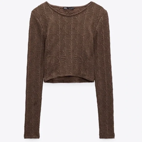 Zara Textured‎ Pointelle Brown Long Sleeve Cropped Top