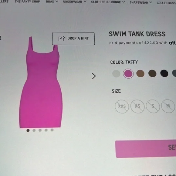 Skims Swim Tank Dress