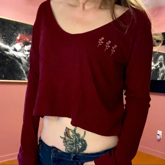 NWT Pink VS long sleeve crop top