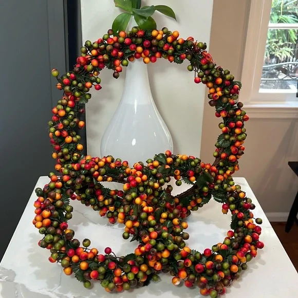 Shades of Fall Autumn Berry Wreaths Set of 3
