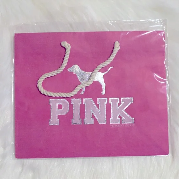 Victoria’s Secret PINK Vintage Gift Bag NWT Rare/HTF/ Collectible