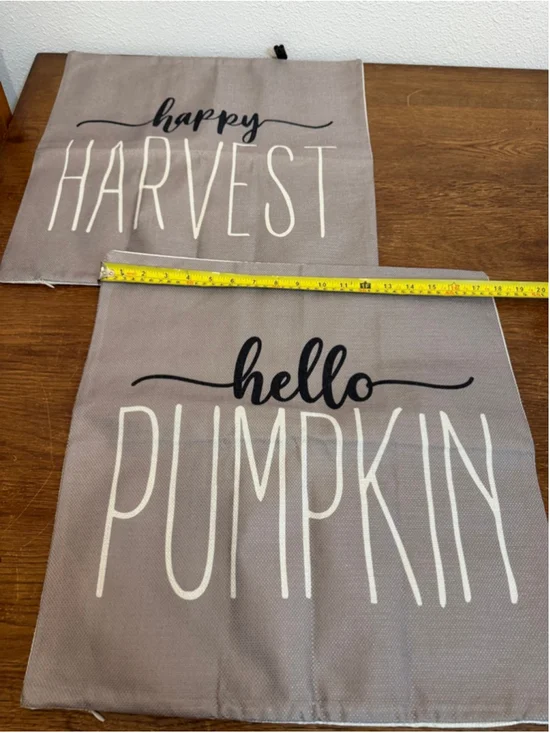 Set of 2 Fall Placemats Hello Pumpkin Happy Harvest Farmhouse Autumn Table Decor