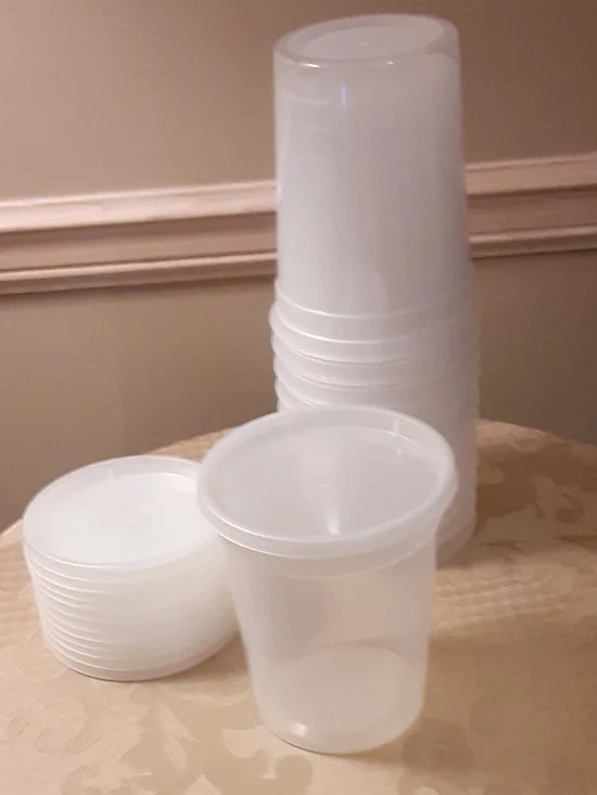 To-Go Heavy Duty 32 Oz. Containers with Lids set of 12