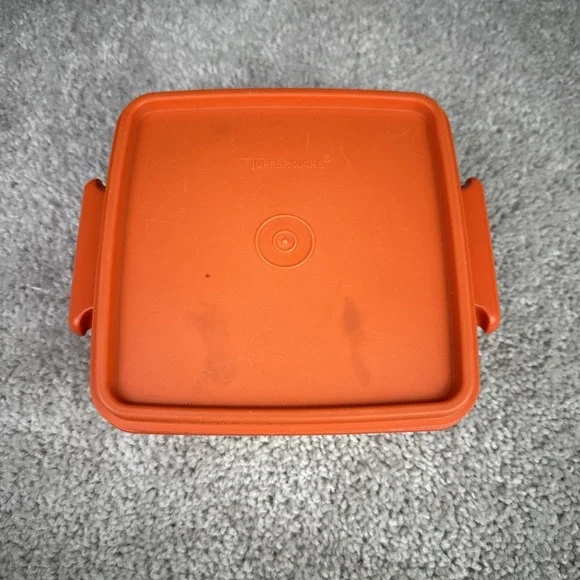 VTG Tupperware 1362-21 Retro‎ Orange  Dark Container With Lid Sandwich Storage