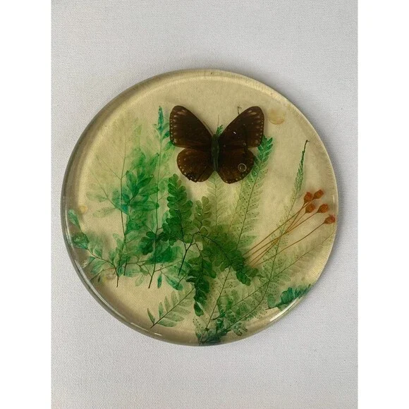 Vintage 60s Acrylic Lucite Butterfly Moth  Dried Flowers Fern Trivet Hot Pad MCM