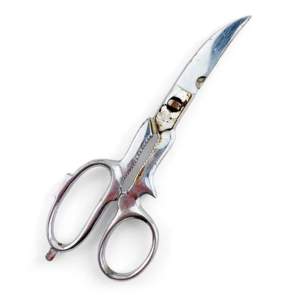 8” Griffon Take Apart Chrome Sissors Italy​
