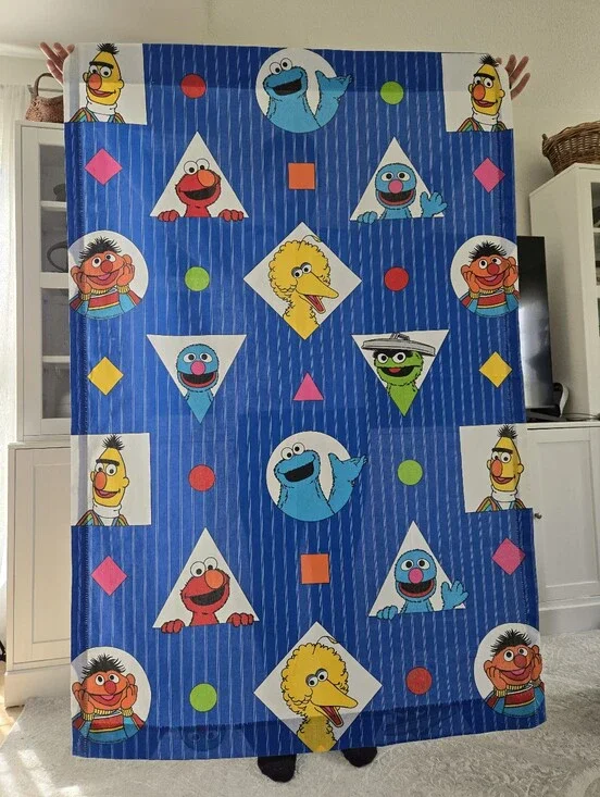 Pair (2) Vintage 1990s Sesame Street Character Curtain Panels