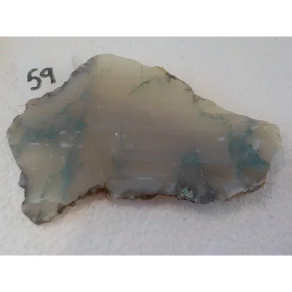 Oregon Moss Agate Maury Mountain Central Oregon Ochoco Rock Slab Translucent