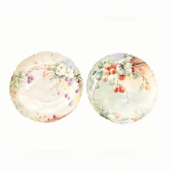 Haviland France Limoges Porcelain Decor Plates - Early 1900s