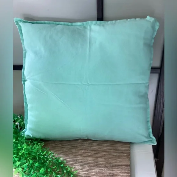 Ikea Mint Green Throw Pillow/cushion insert and cover 20” x 20”