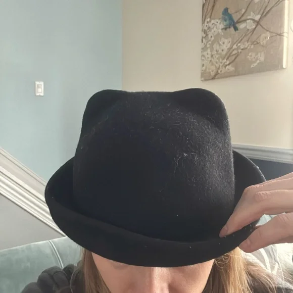 Cat Ears Fedora