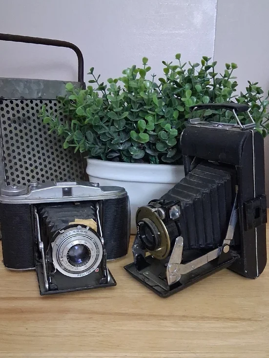 Vintage Cameras Decor