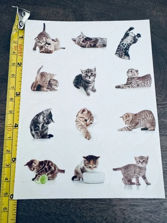 Adorable Cat Stickers