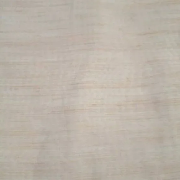 FABRIC #954 - Sheer - Cream with almost Peach Threads 75 X 120