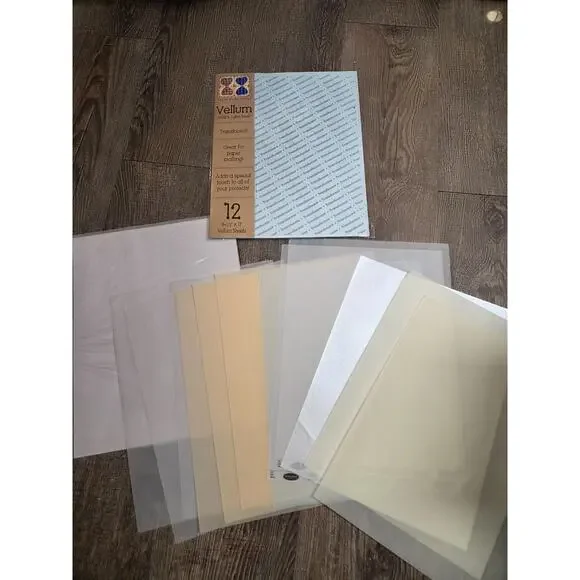 Scrapbooking 8.5 x 11 Vellum Sheer Textured Smooth Papers Pages Lot