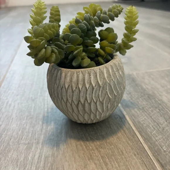 Decorative Gray Planter with Green Succulents