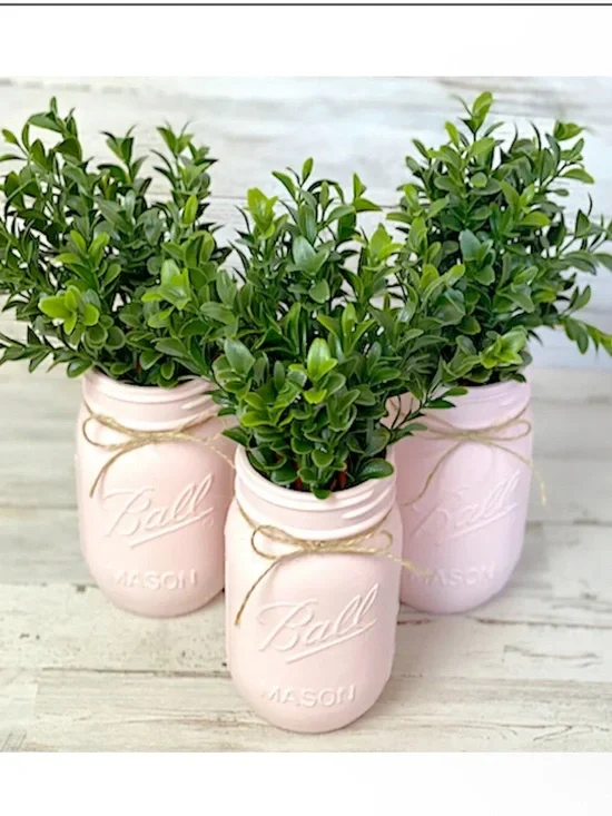 Light Pink Hand-Painted Mason Jar Planter 3 coastal collections (jars only!)