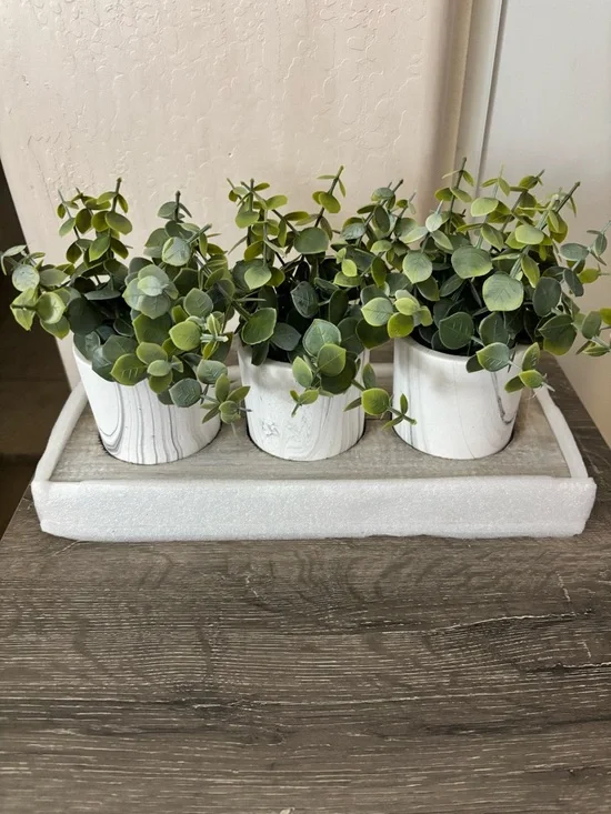 NWT Triple Faux Eucalyptus Planter Set in White Pots
