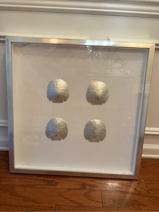 Like New Pier 1 Framed Silver Sand Dollar Wall Art